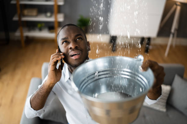 Best Flood damage cleanup  in Jasmine Estates, FL
