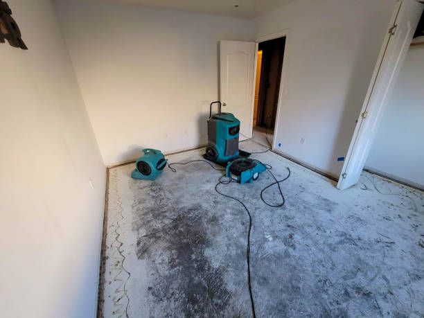 Best Water damage restoration near me  in Jasmine Estates, FL