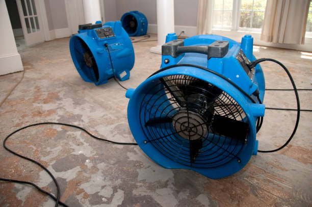 Best 24/7 water damage repair  in Jasmine Estates, FL