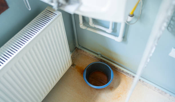 Best Residential water damage restoration  in Jasmine Estates, FL