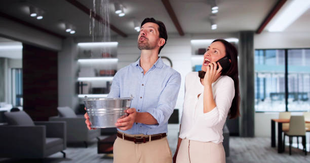 Best Sewage cleanup and water damage restoration  in Jasmine Estates, FL