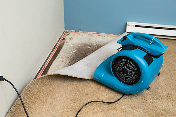 Local water damage restoration in FL