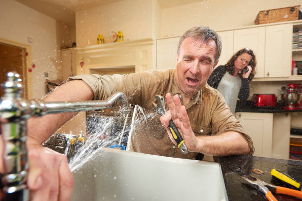 Best Flood restoration services  in Jasmine Estates, FL